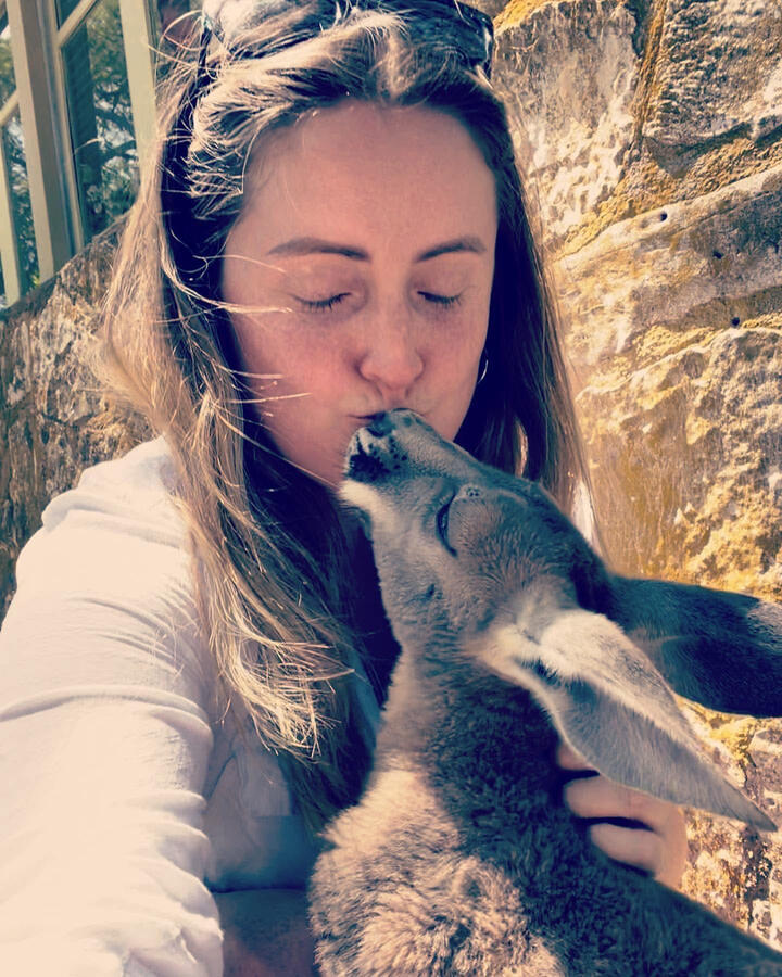 Kangaroo