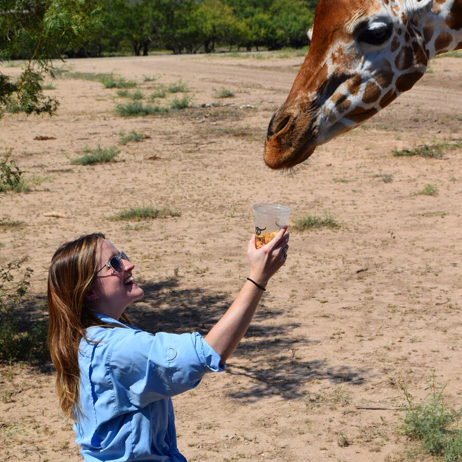 OX Ranch