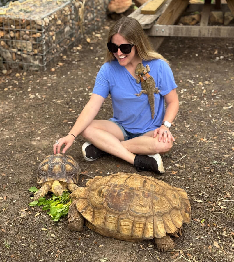 Reptiles