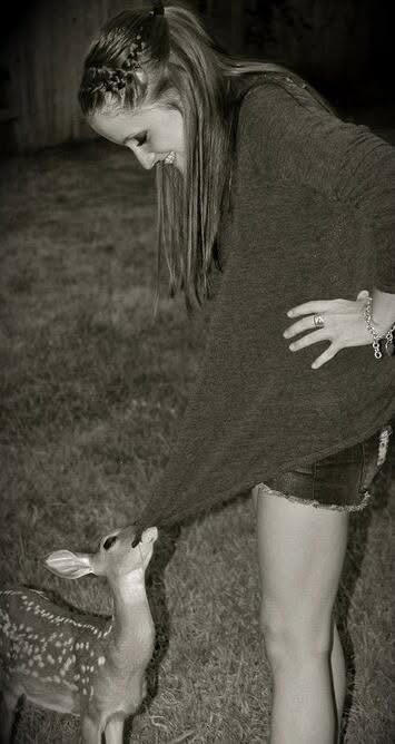 Baby Deer
